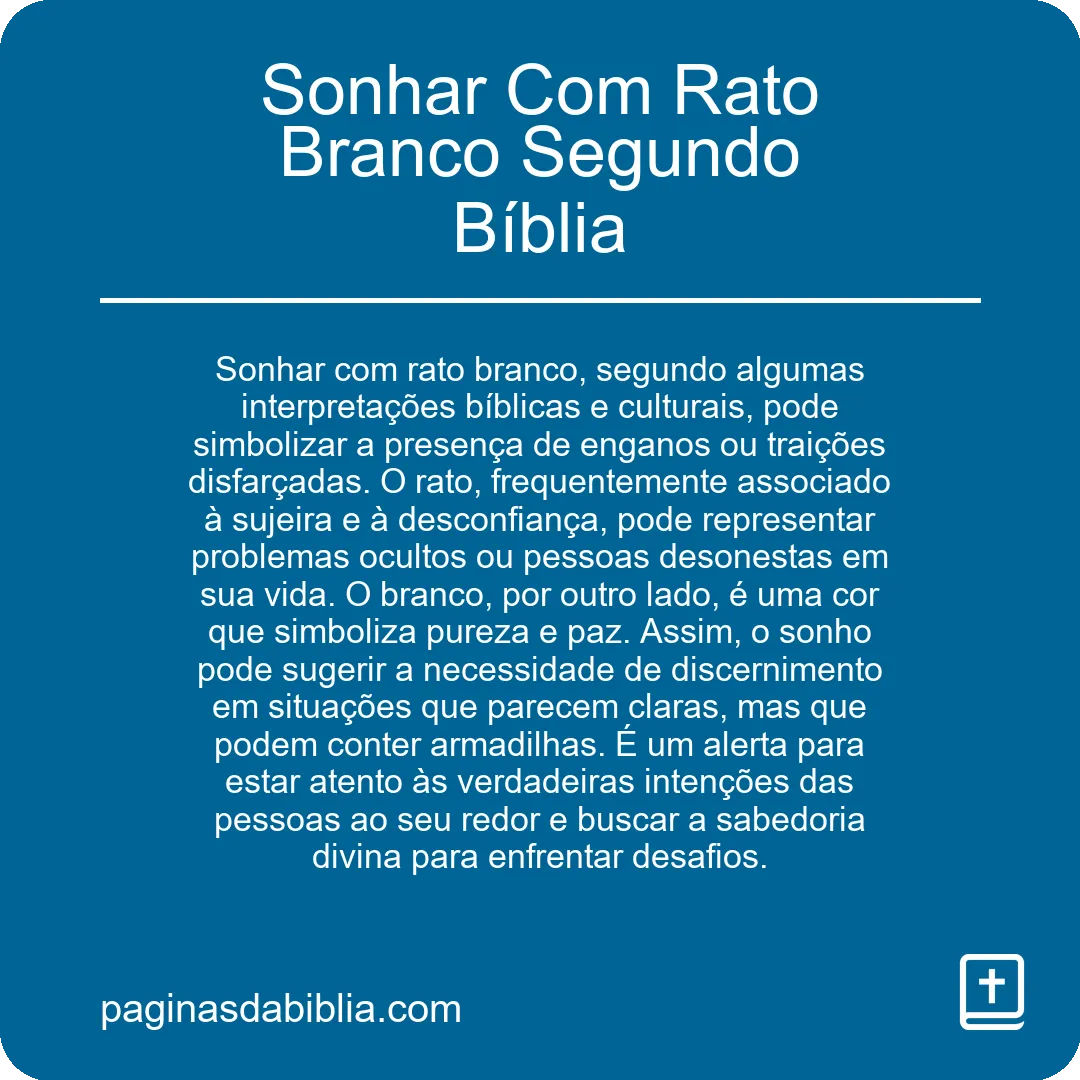 Sonhar Com Rato Branco Segundo Bíblia