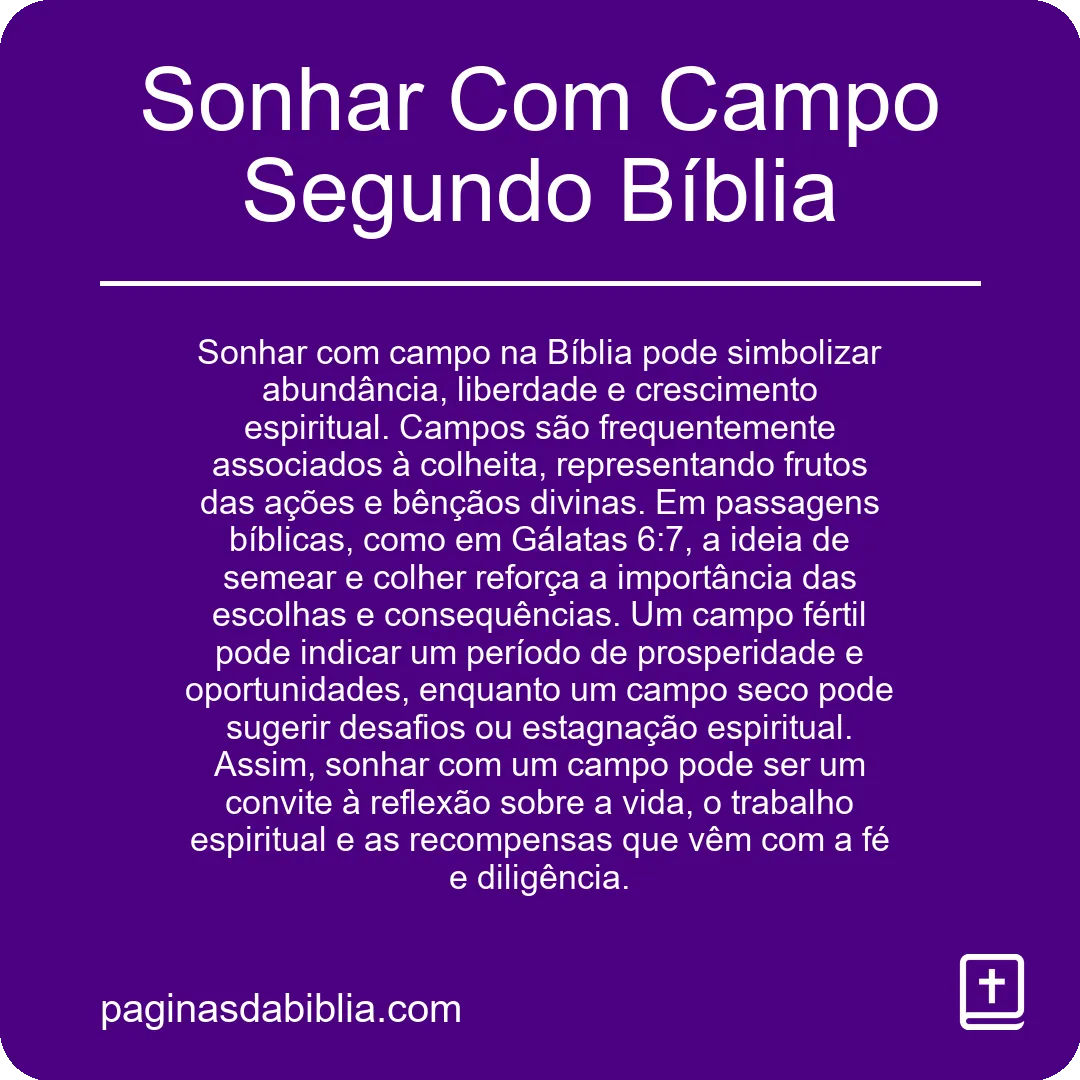 Sonhar Com Campo Segundo Bíblia