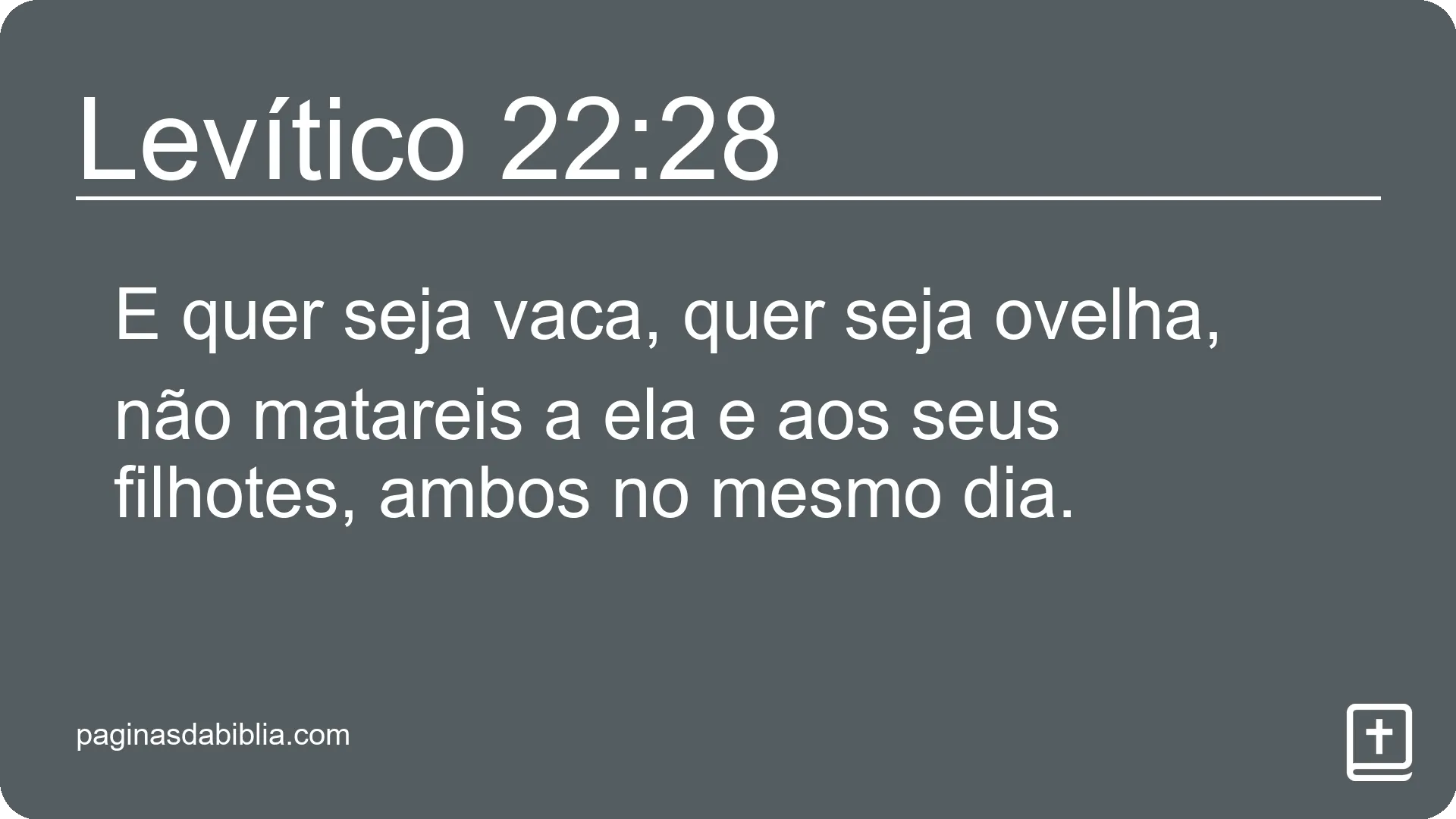 Levítico 22:28