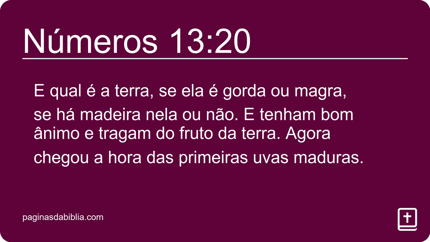 Números 13:20