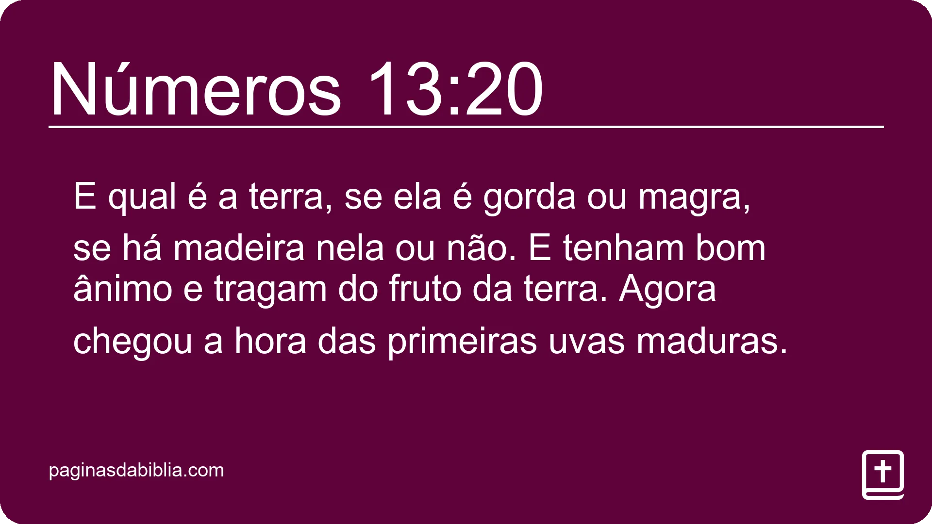 Números 13:20