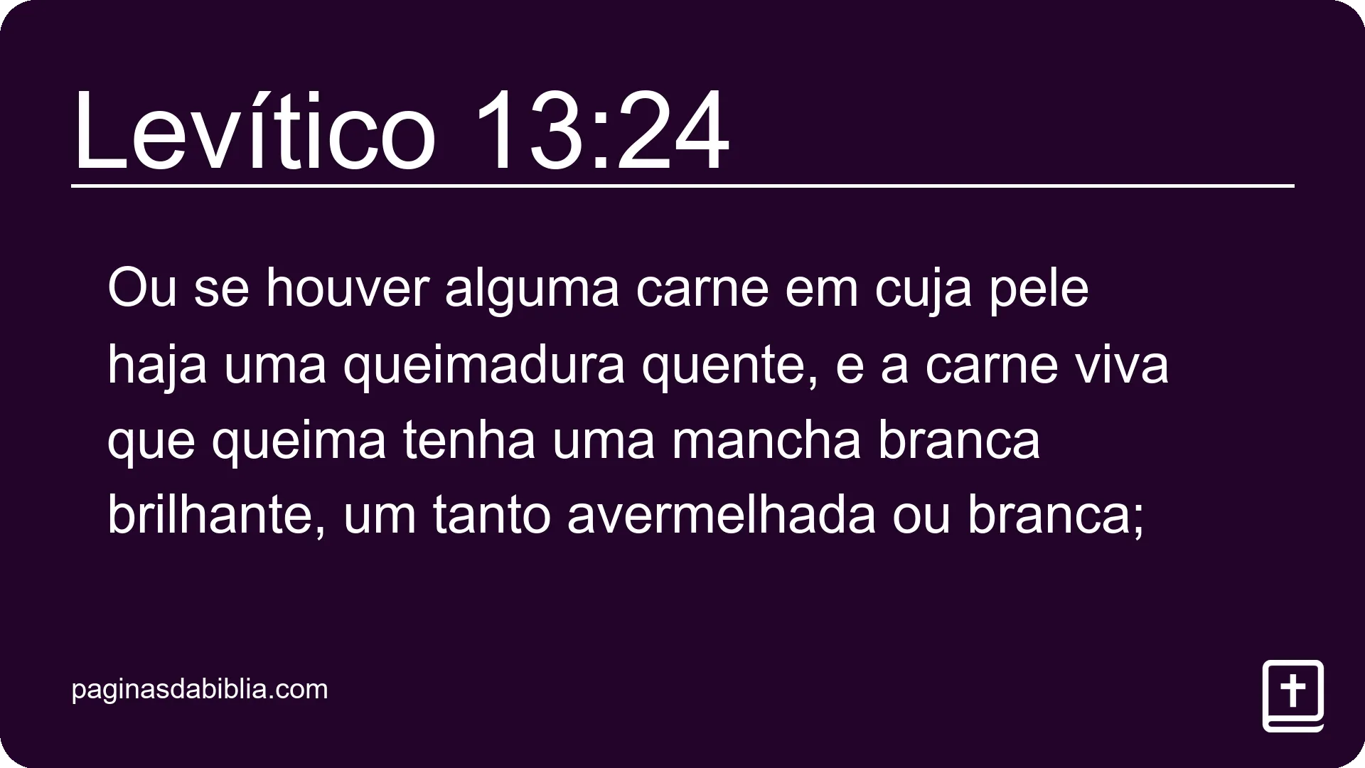 Levítico 13:24