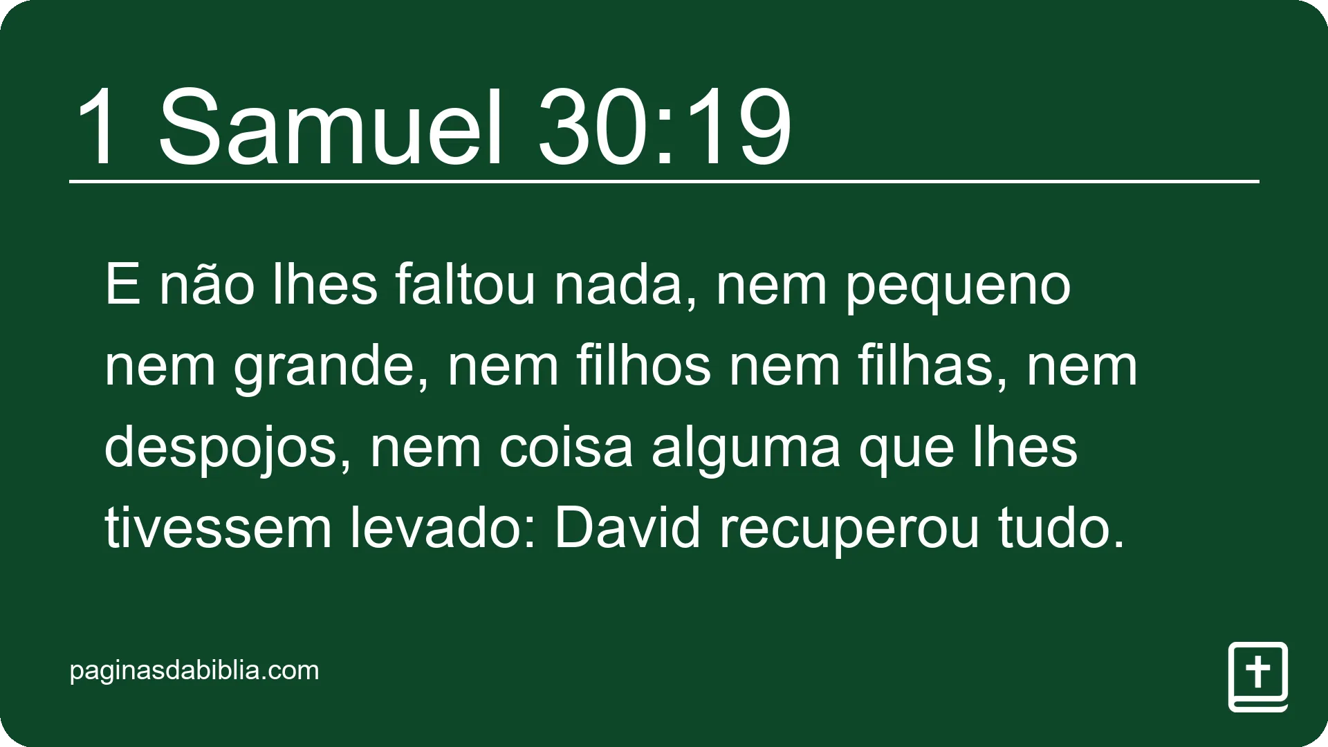 1 Samuel 30:19