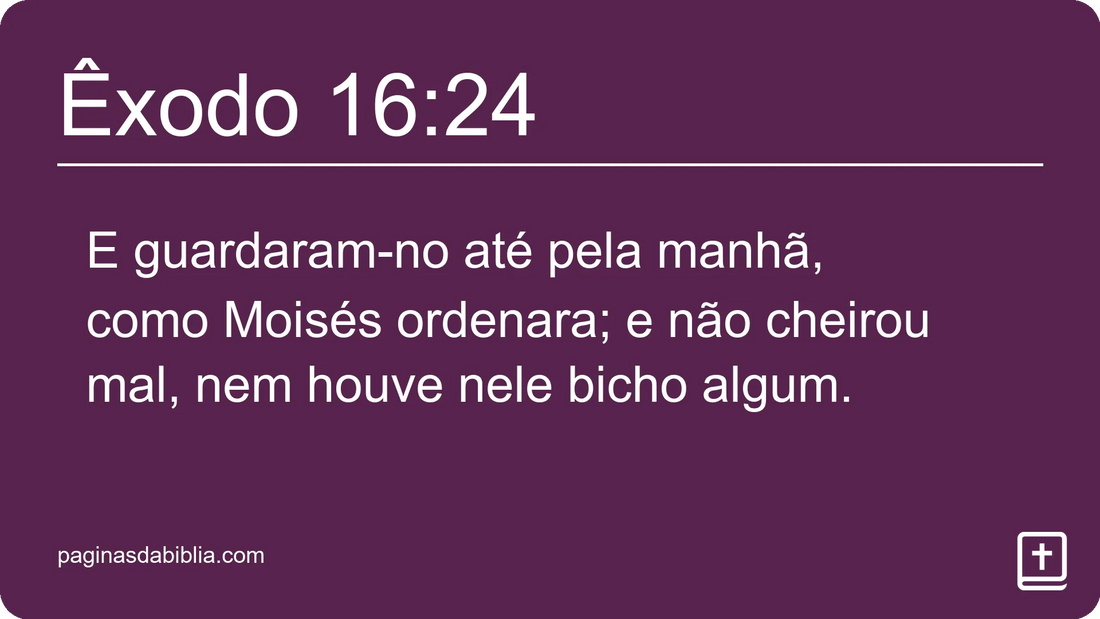 Êxodo 16:24