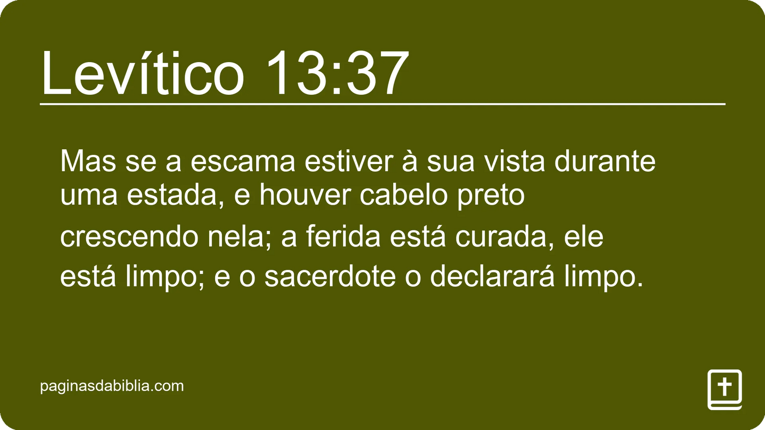 Levítico 13:37