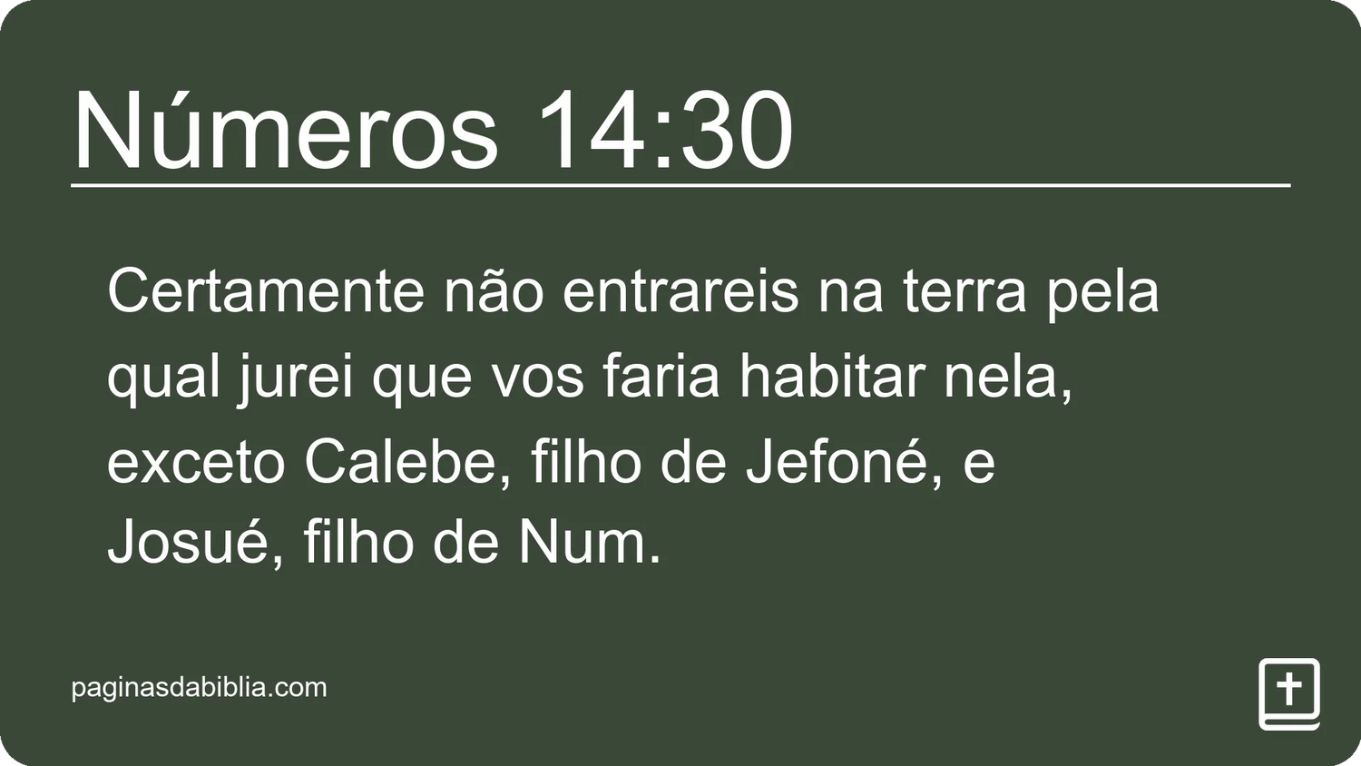 Números 14:30