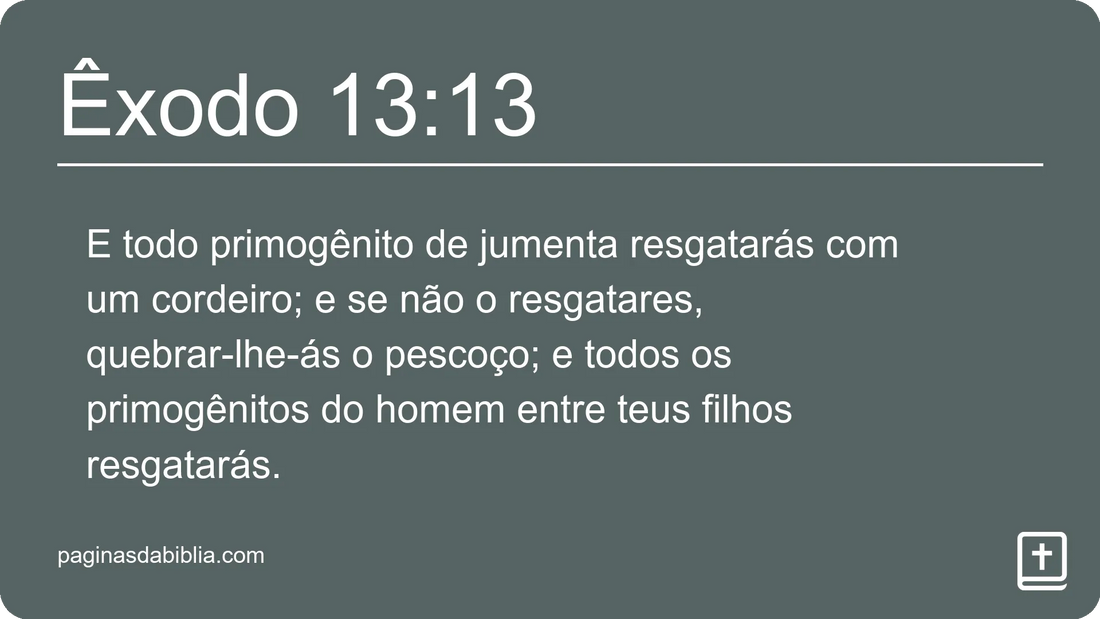 Êxodo 13:13