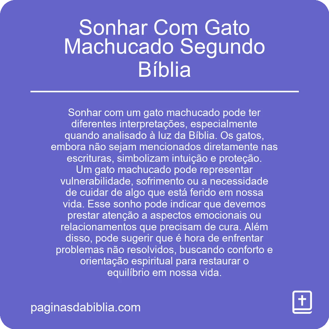 Sonhar Com Gato Machucado Segundo Bíblia