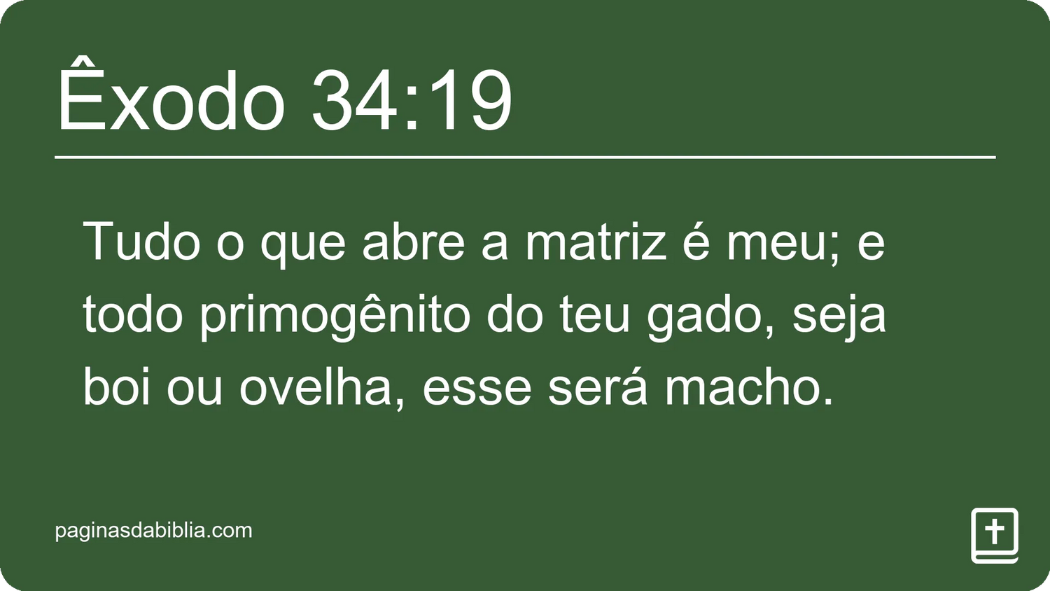 Êxodo 34:19