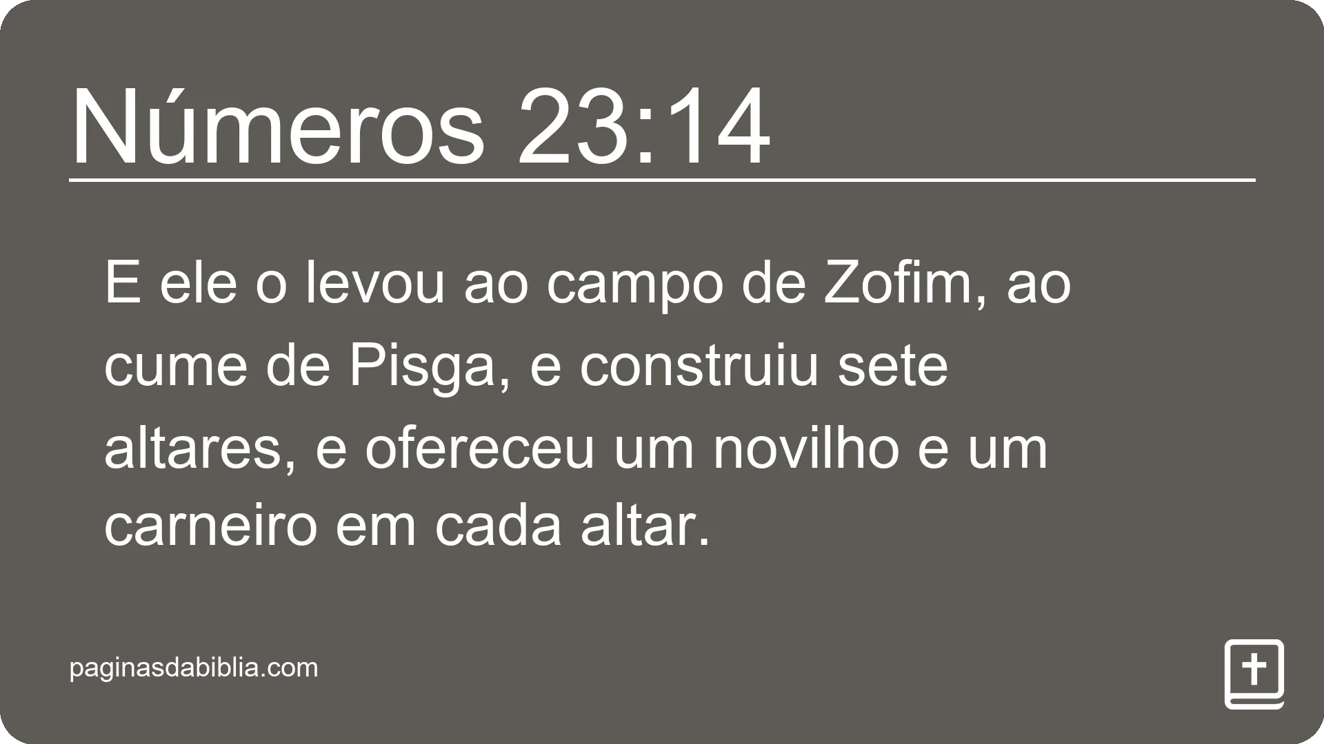 Números 23:14