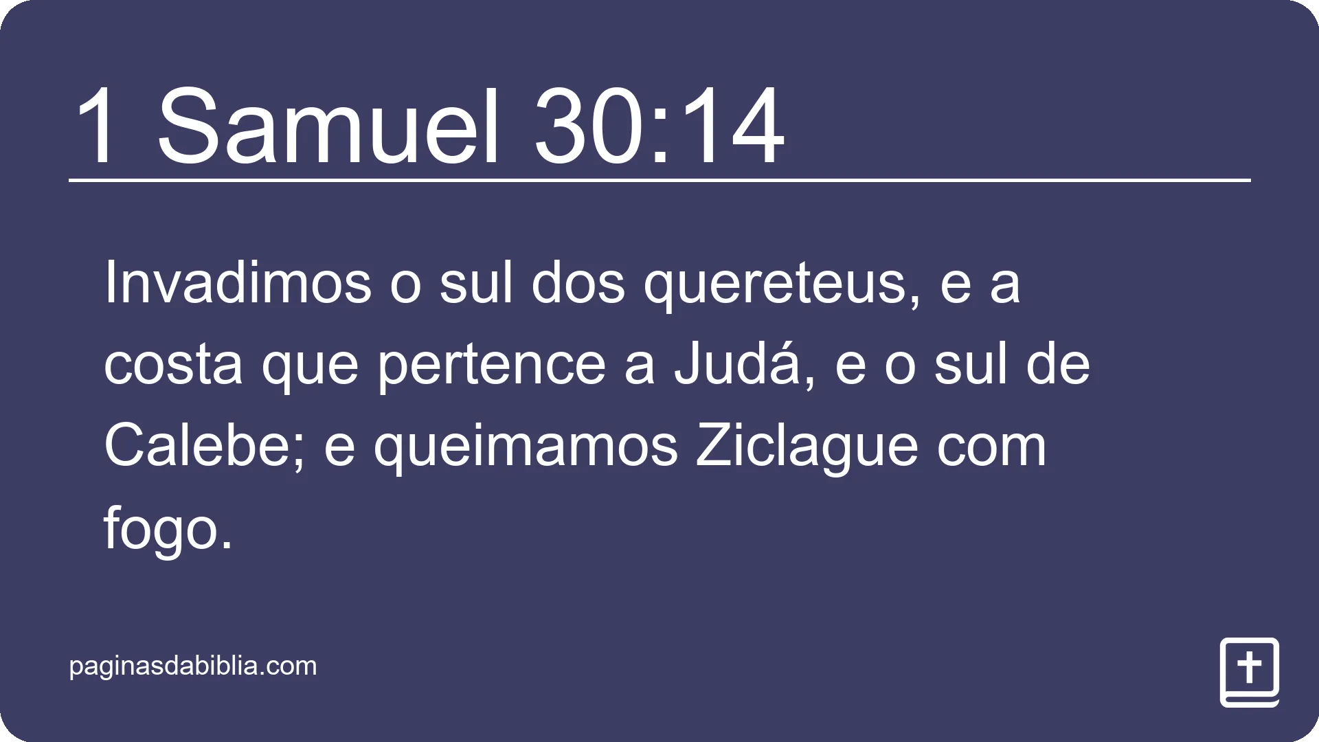 1 Samuel 30:14