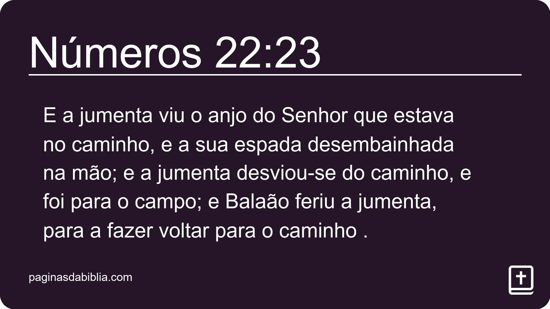 Números 22:23