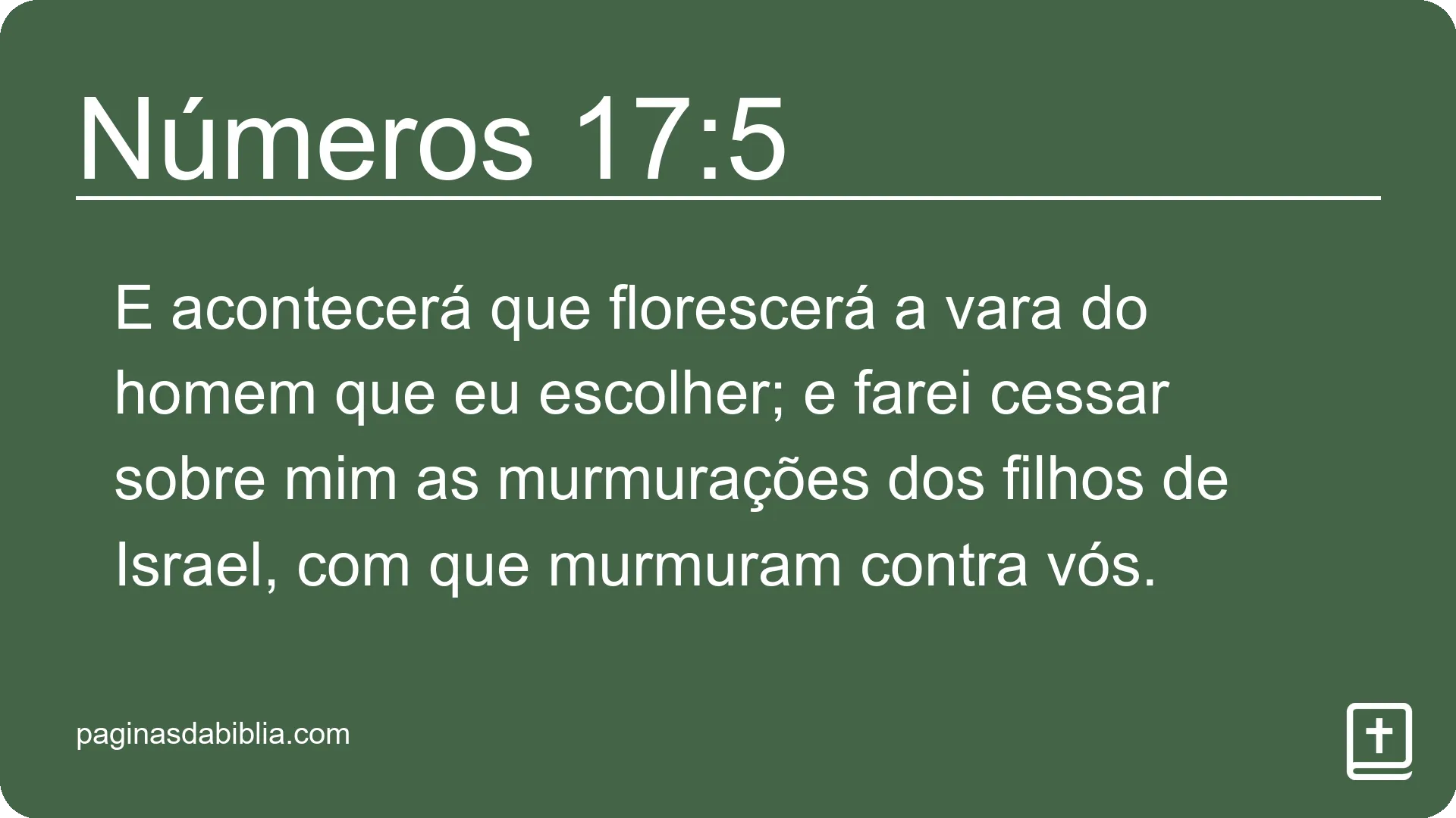 Números 17:5