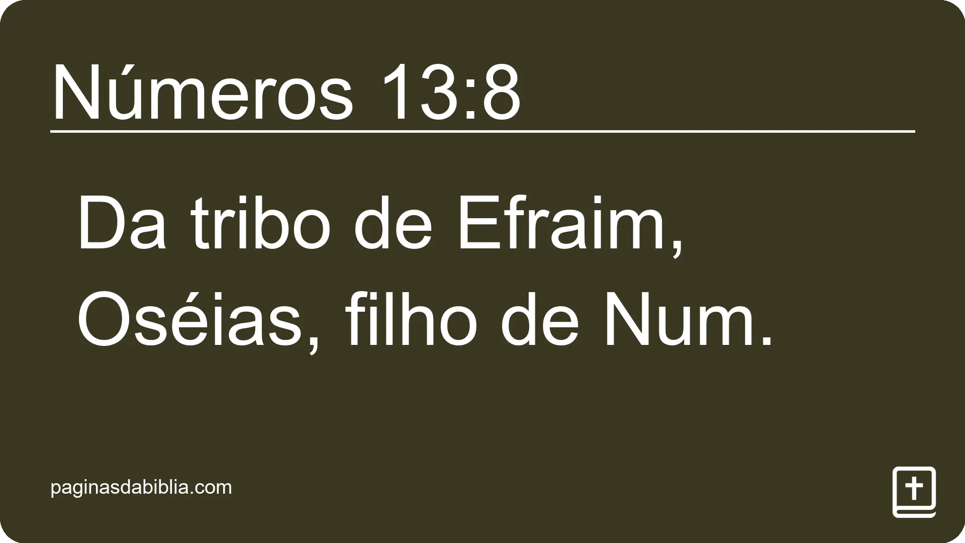 Números 13:8