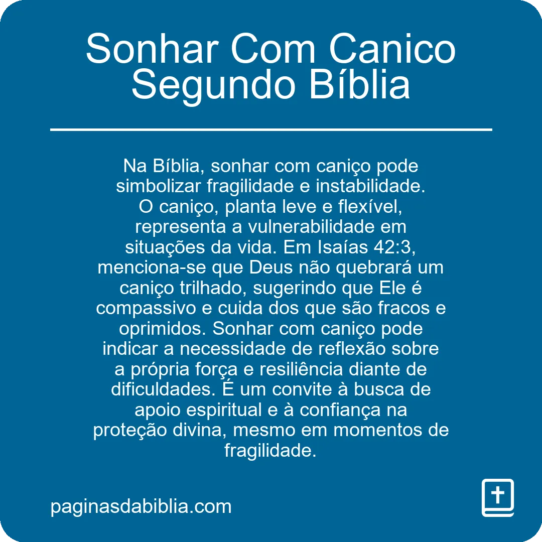 Sonhar Com Canico Segundo Bíblia