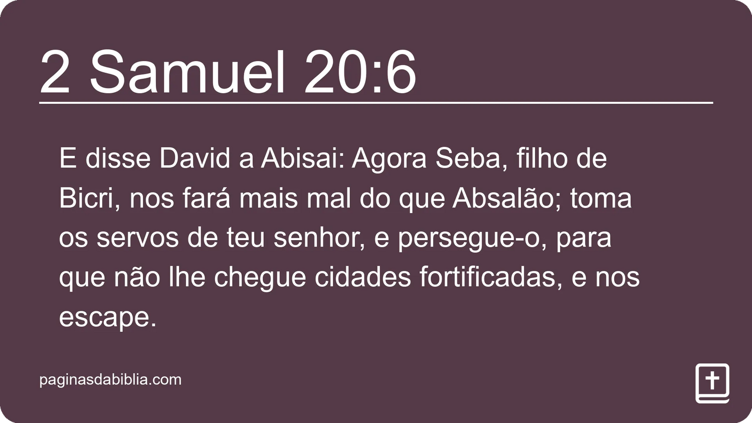 2 Samuel 20:6