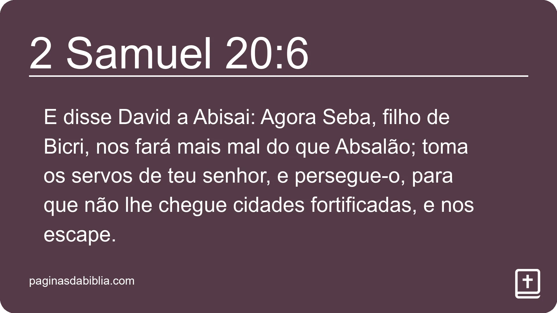 2 Samuel 20:6