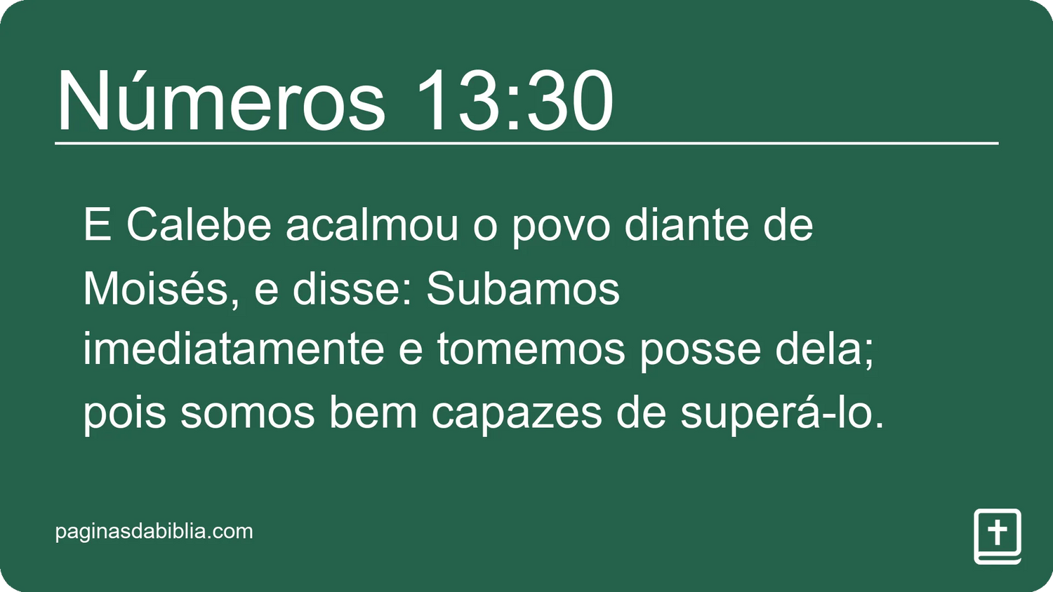 Números 13:30