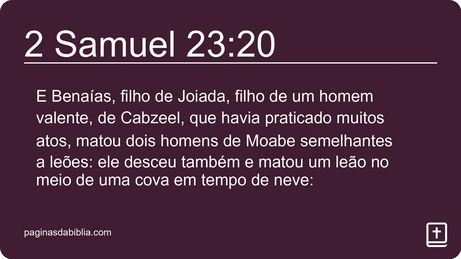 2 Samuel 23:20