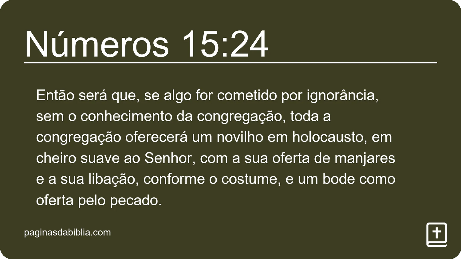 Números 15:24