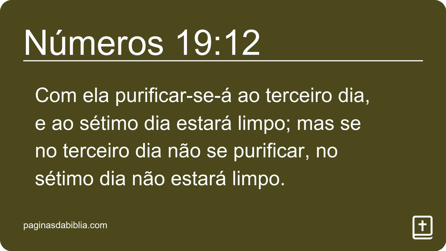 Números 19:12