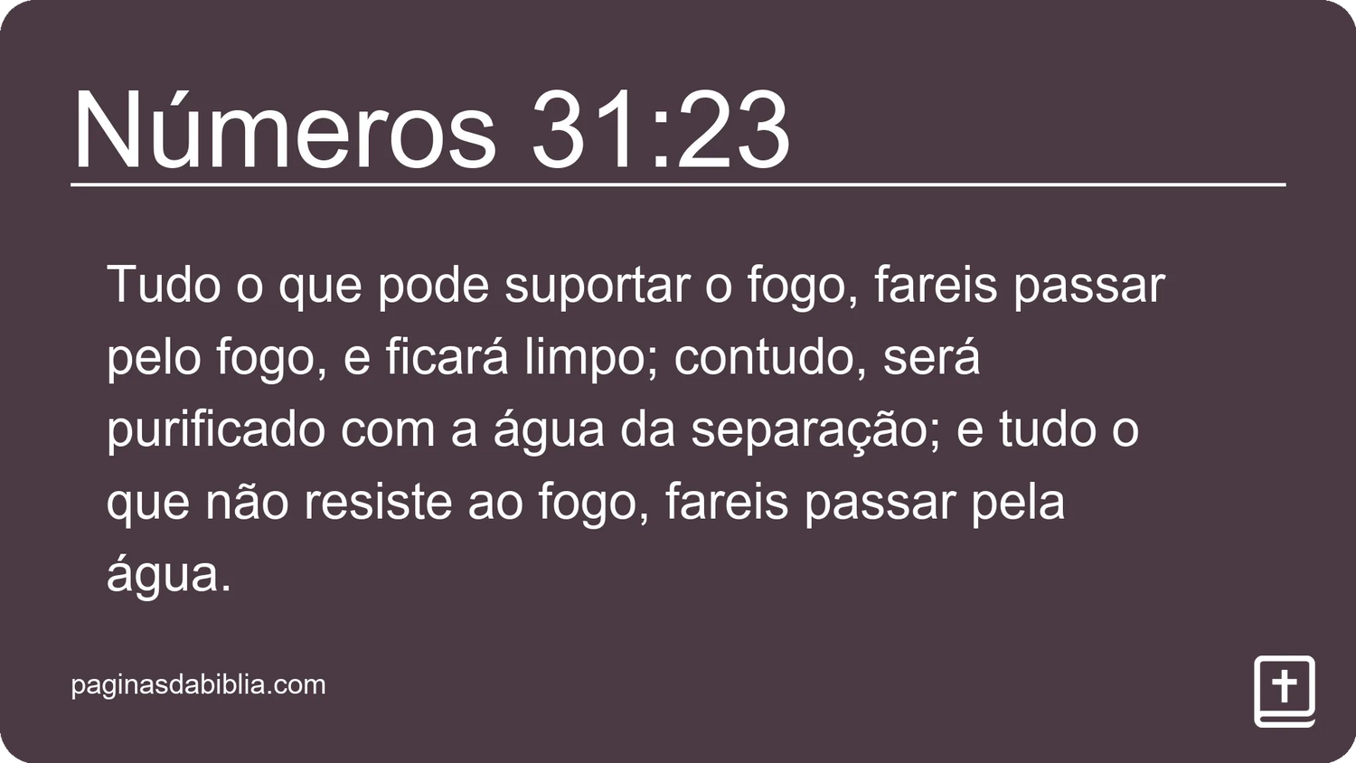 Números 31:23