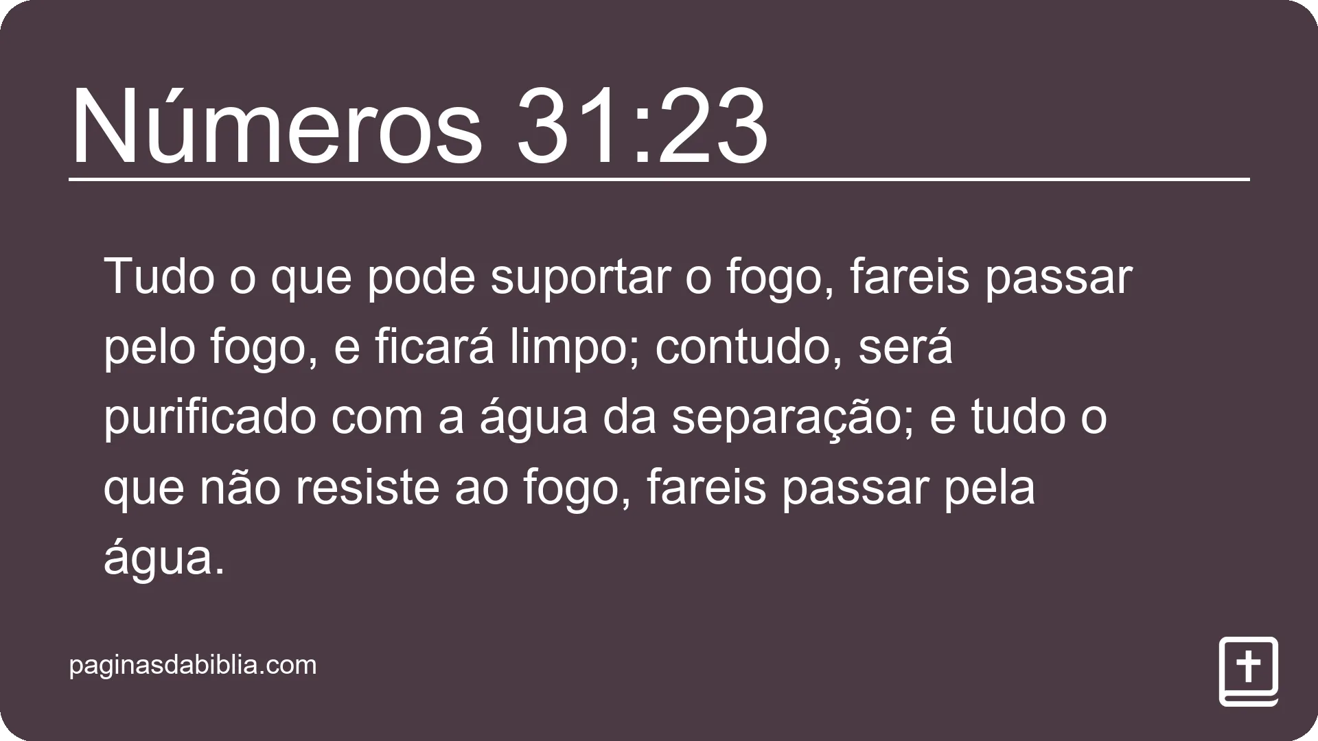 Números 31:23