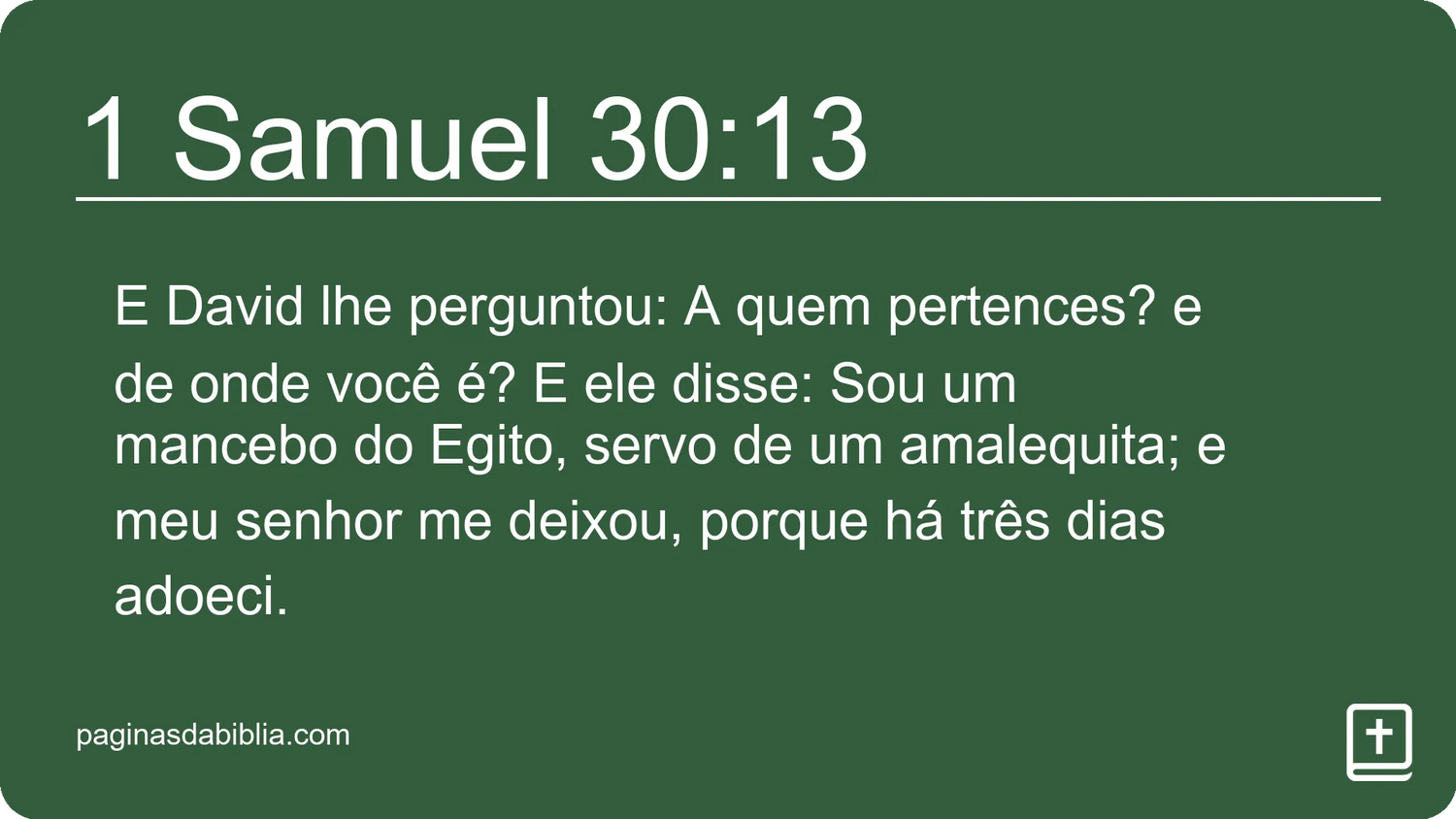 1 Samuel 30:13