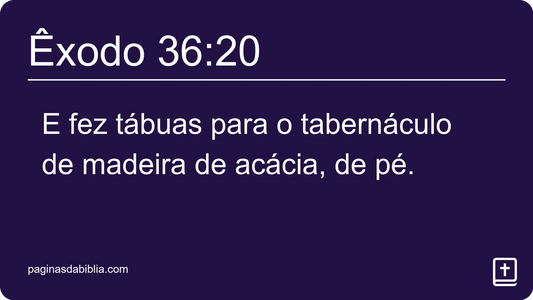 Êxodo 36:20