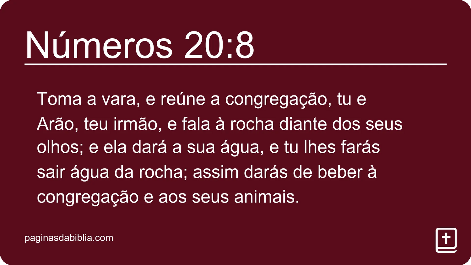 Números 20:8