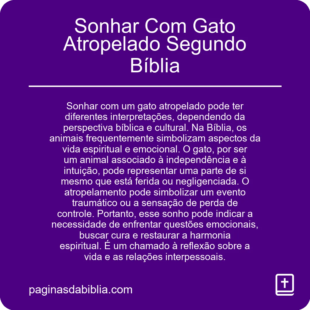 Sonhar Com Gato Atropelado Segundo Bíblia