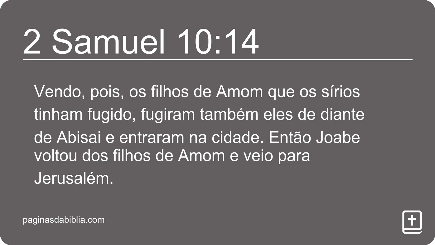 2 Samuel 10:14