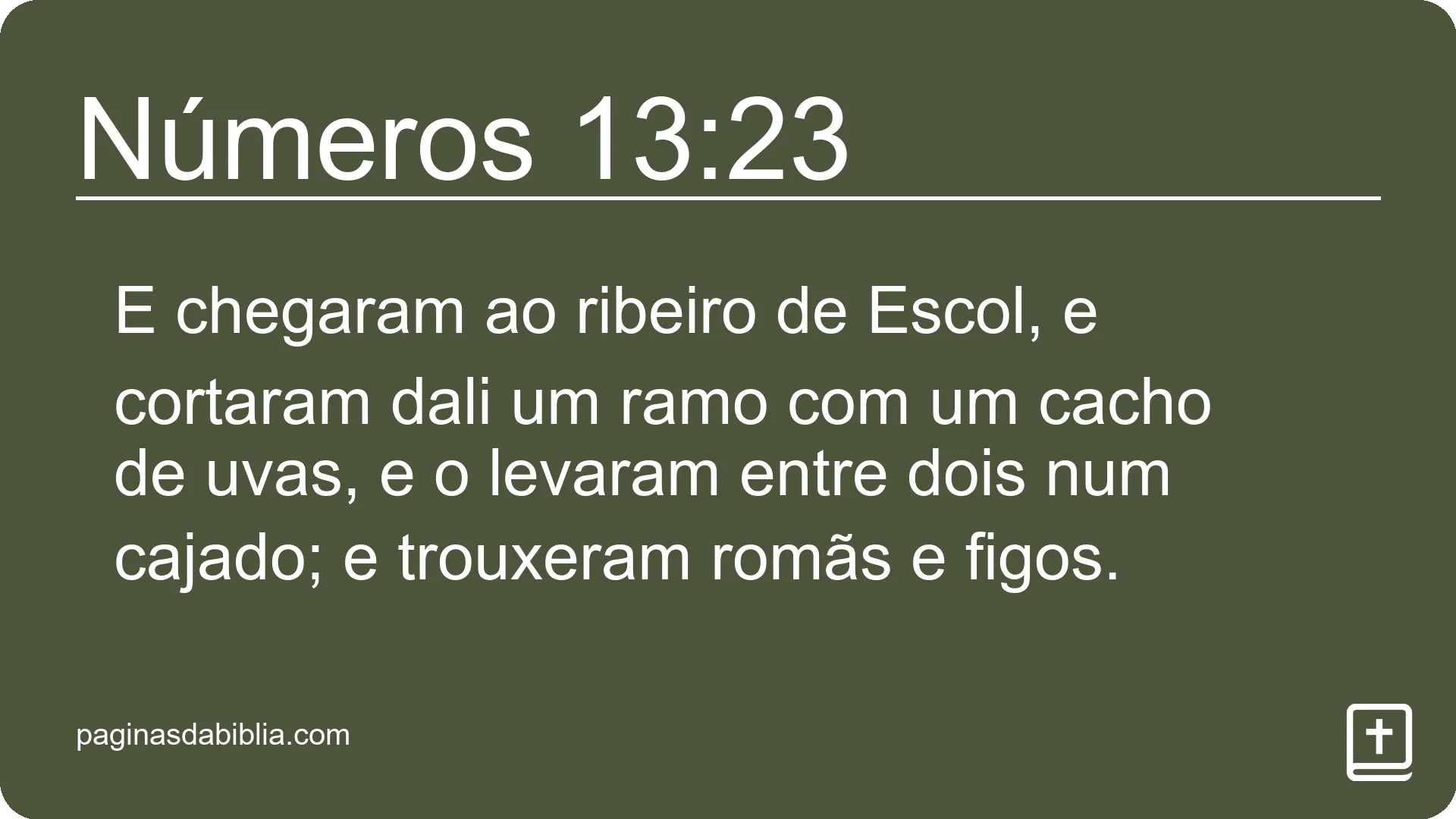 Números 13:23