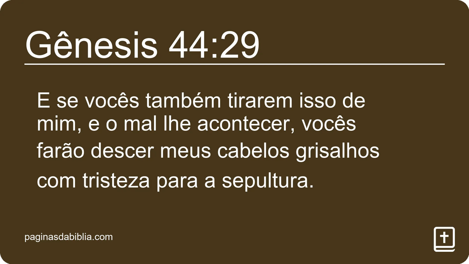 Gênesis 44:29