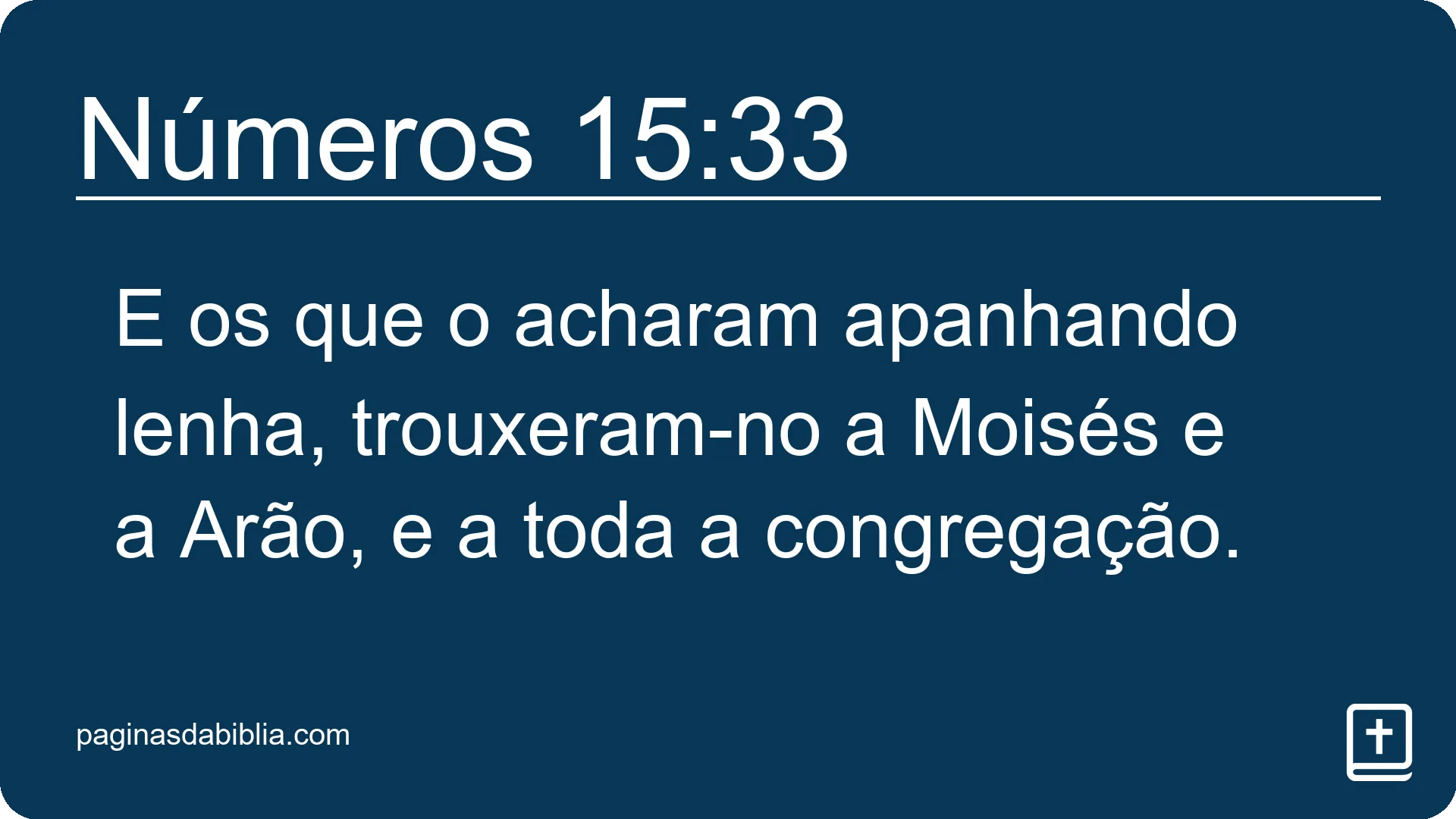 Números 15:33