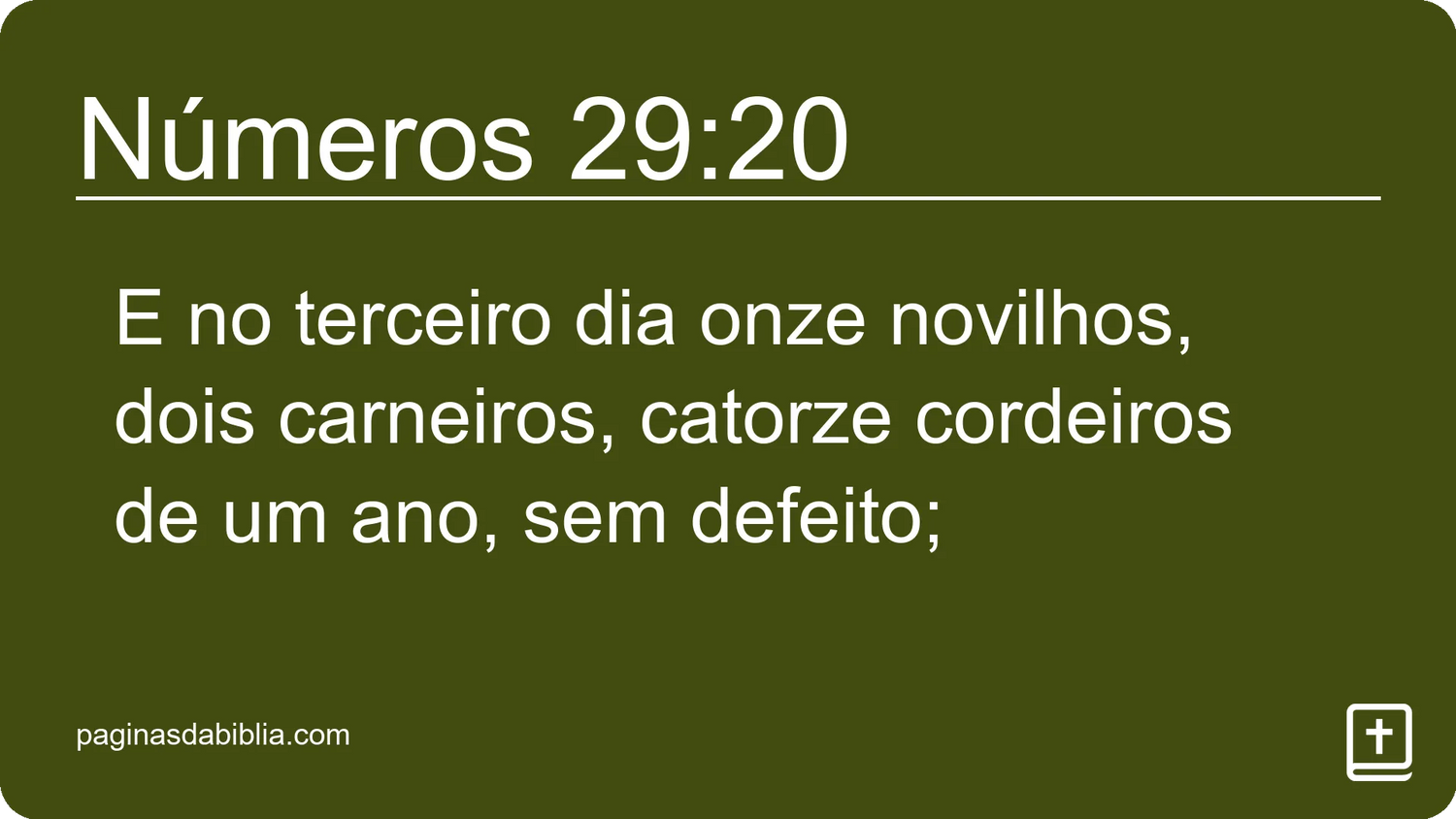 Números 29:20