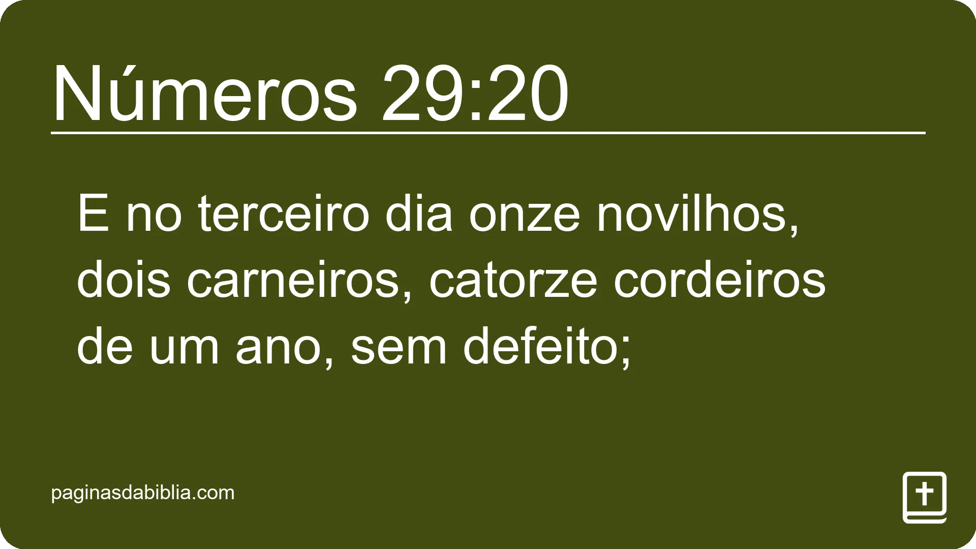 Números 29:20