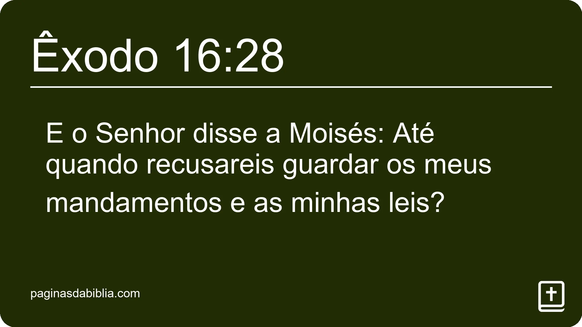 Êxodo 16:28