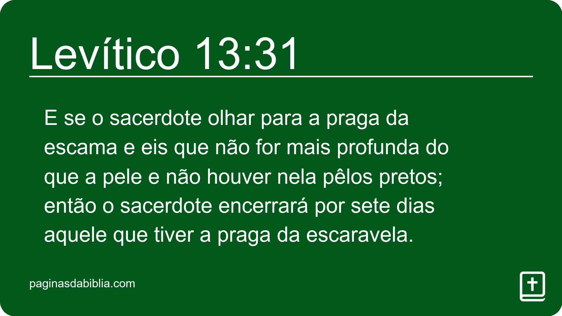 Levítico 13:31