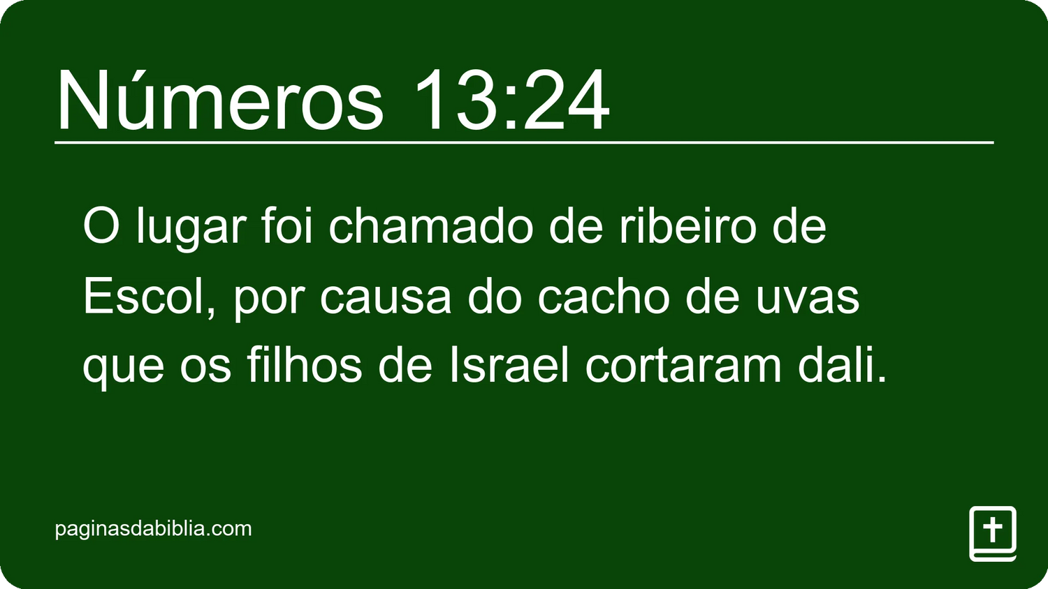 Números 13:24