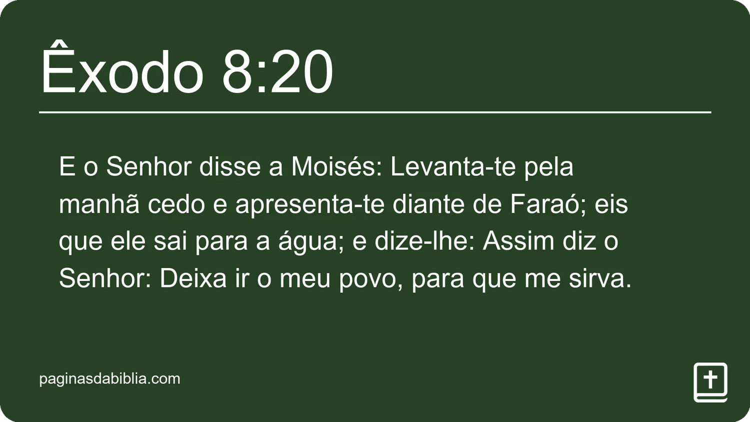 Êxodo 8:20