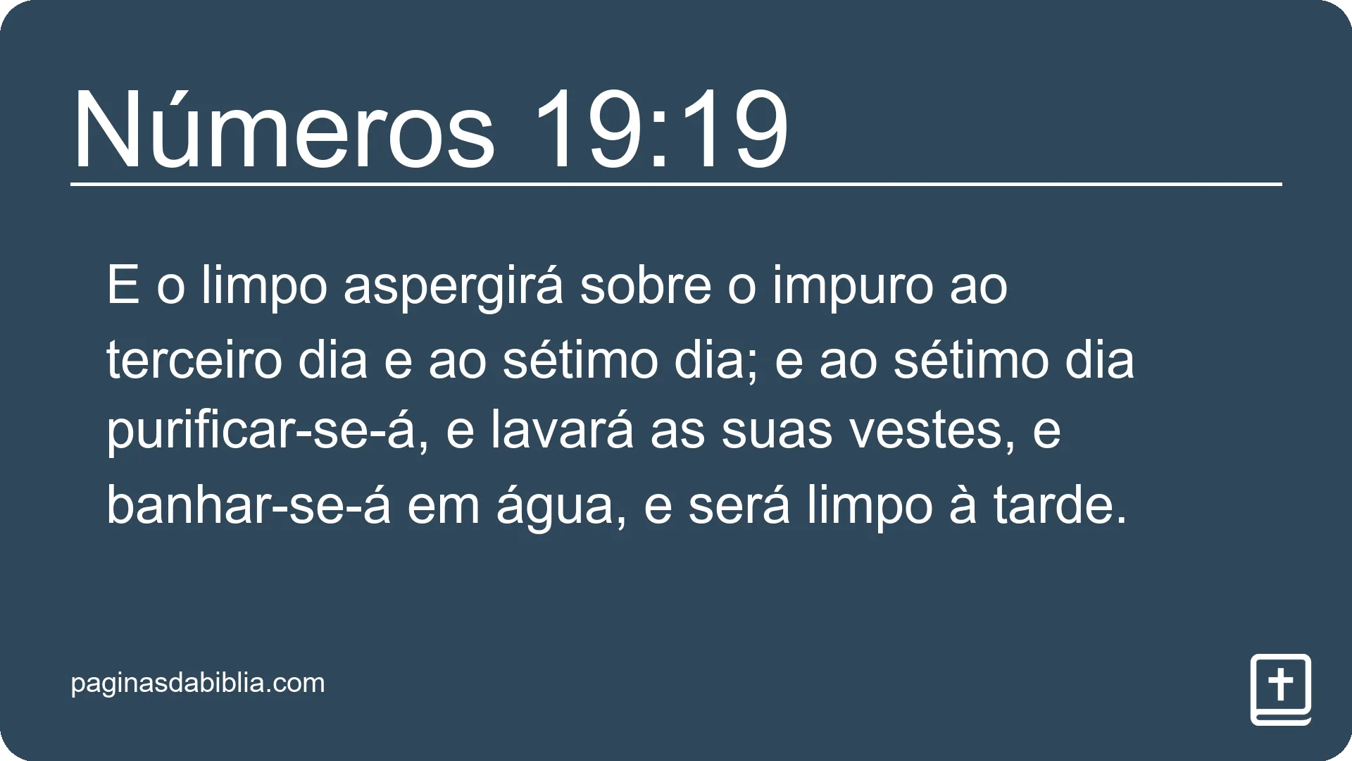 Números 19:19