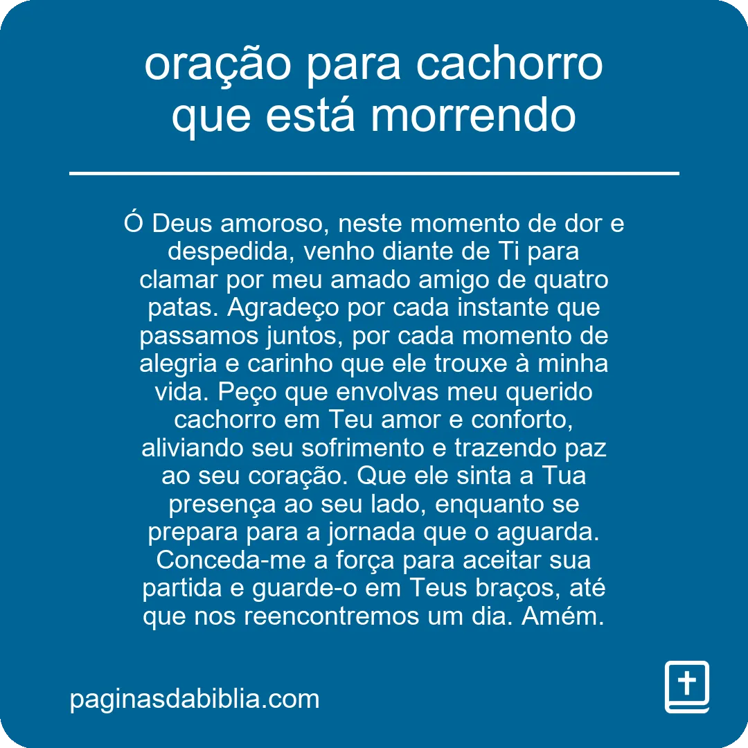 oração para cachorro que está morrendo