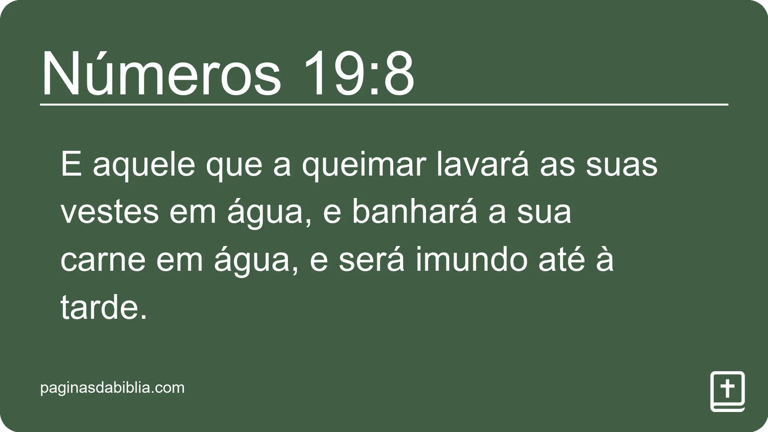 Números 19:8