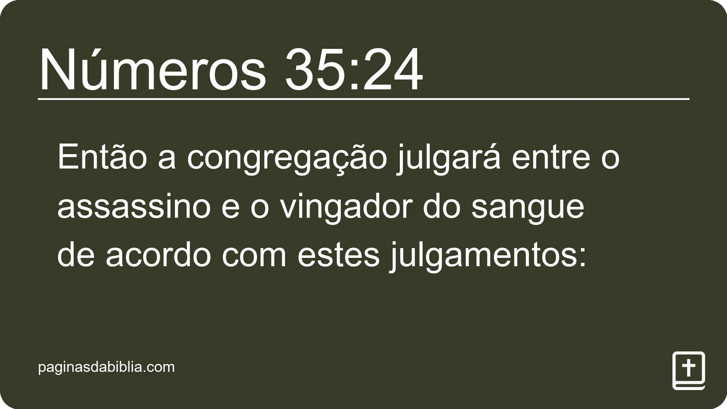 Números 35:24