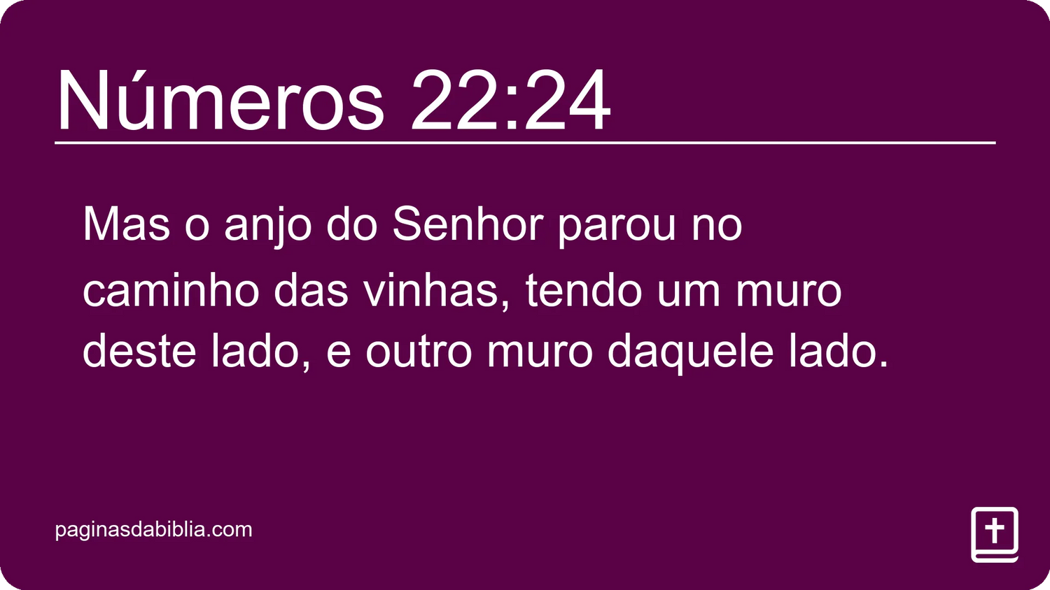 Números 22:24