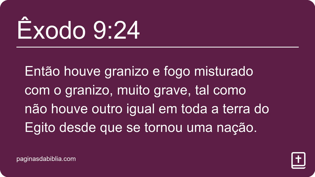 Êxodo 9:24